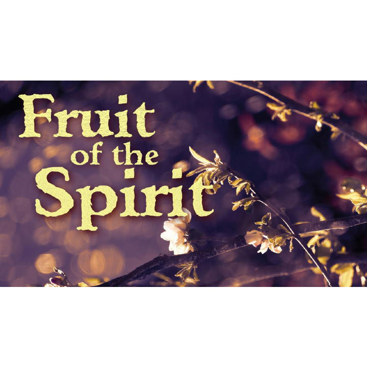 The Fruit of the Spirit – Part 4: Patience